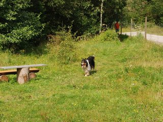2009-08-15_ntb_4494