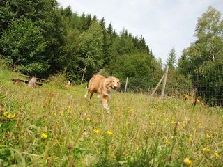 2009-08-15_ntb_4495