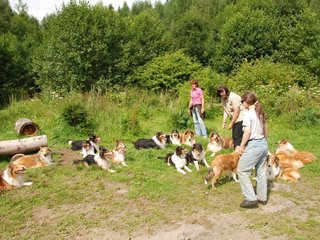 2009-08-15_ntb_4497