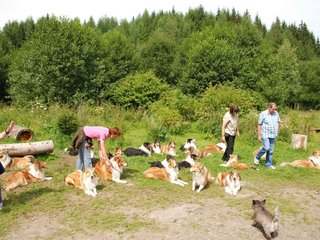 2009-08-15_ntb_4500