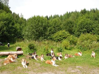 2009-08-15_ntb_4505