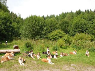 2009-08-15_ntb_4506