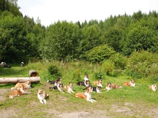 2009-08-15_ntb_4507