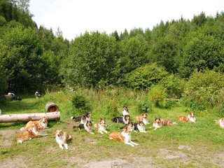 2009-08-15_ntb_4508