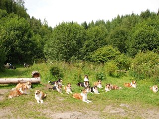 2009-08-15_ntb_4509