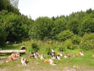 2009-08-15_ntb_4510