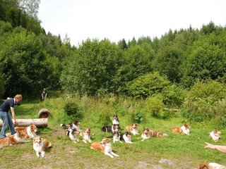 2009-08-15_ntb_4512
