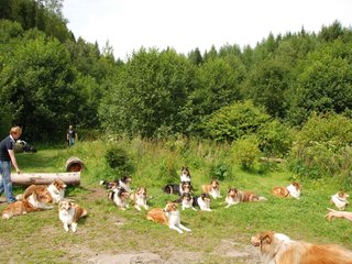 2009-08-15_ntb_4513