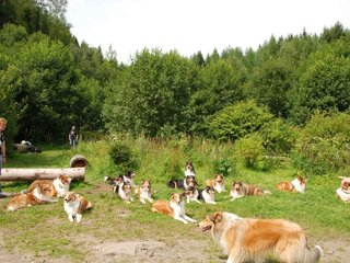 2009-08-15_ntb_4514