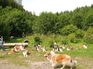 2009-08-15_ntb_4515