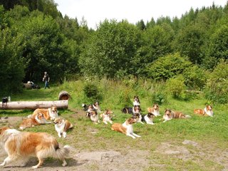 2009-08-15_ntb_4518