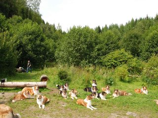2009-08-15_ntb_4519
