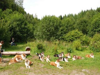 2009-08-15_ntb_4521