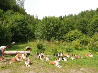 2009-08-15_ntb_4523