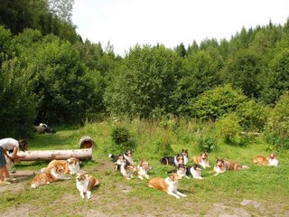 2009-08-15_ntb_4524