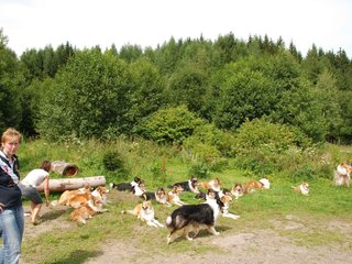 2009-08-15_ntb_4527