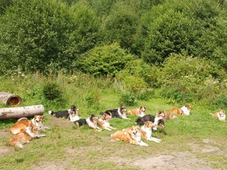2009-08-15_ntb_4531