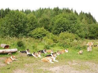 2009-08-15_ntb_4532