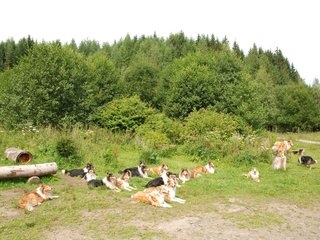 2009-08-15_ntb_4533