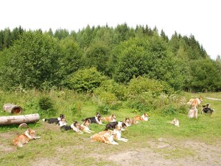 2009-08-15_ntb_4534