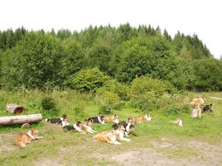 2009-08-15_ntb_4535