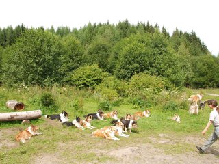 2009-08-15_ntb_4536