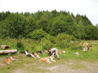 2009-08-15_ntb_4537