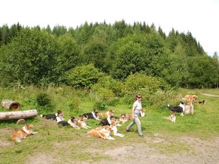 2009-08-15_ntb_4539