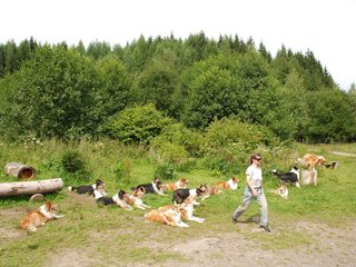 2009-08-15_ntb_4540
