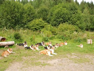 2009-08-15_ntb_4541