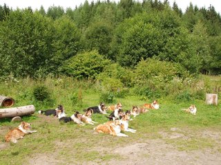 2009-08-15_ntb_4542