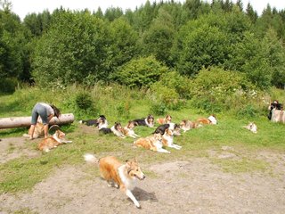 2009-08-15_ntb_4543