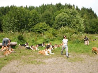 2009-08-15_ntb_4545