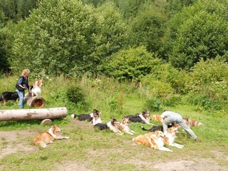 2009-08-15_ntb_4546