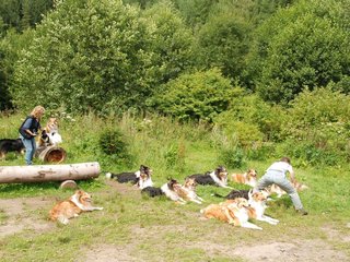 2009-08-15_ntb_4547