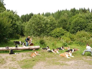2009-08-15_ntb_4550