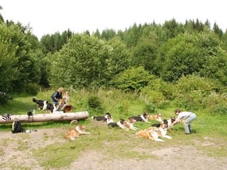 2009-08-15_ntb_4551