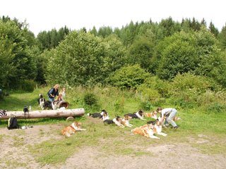 2009-08-15_ntb_4552