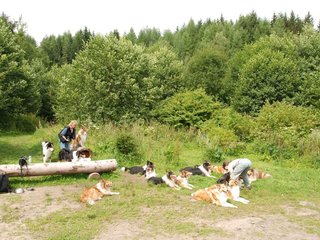 2009-08-15_ntb_4553