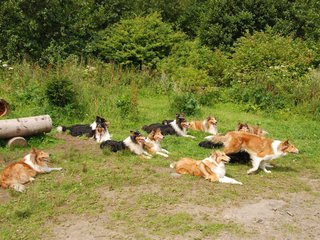 2009-08-15_ntb_4557
