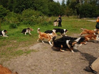 2009-08-15_ntb_4558