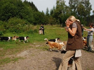 2009-08-15_ntb_4559