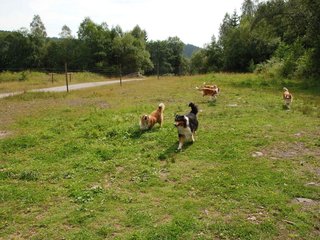 2009-08-15_ntb_4560