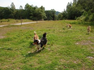 2009-08-15_ntb_4561