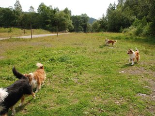 2009-08-15_ntb_4562