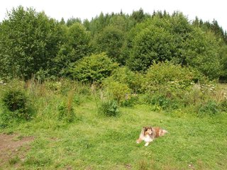 2009-08-15_ntb_4563