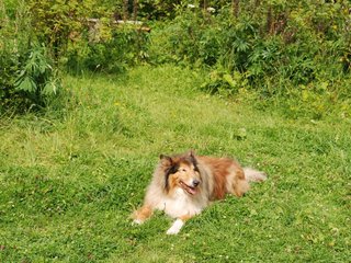 2009-08-15_ntb_4564
