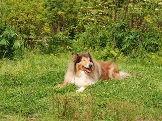 2009-08-15_ntb_4565