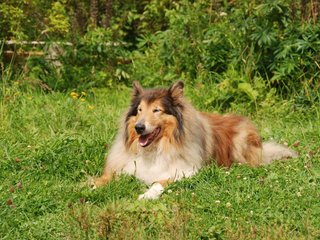 2009-08-15_ntb_4566