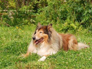 2009-08-15_ntb_4567